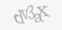 Қорғаныс коды